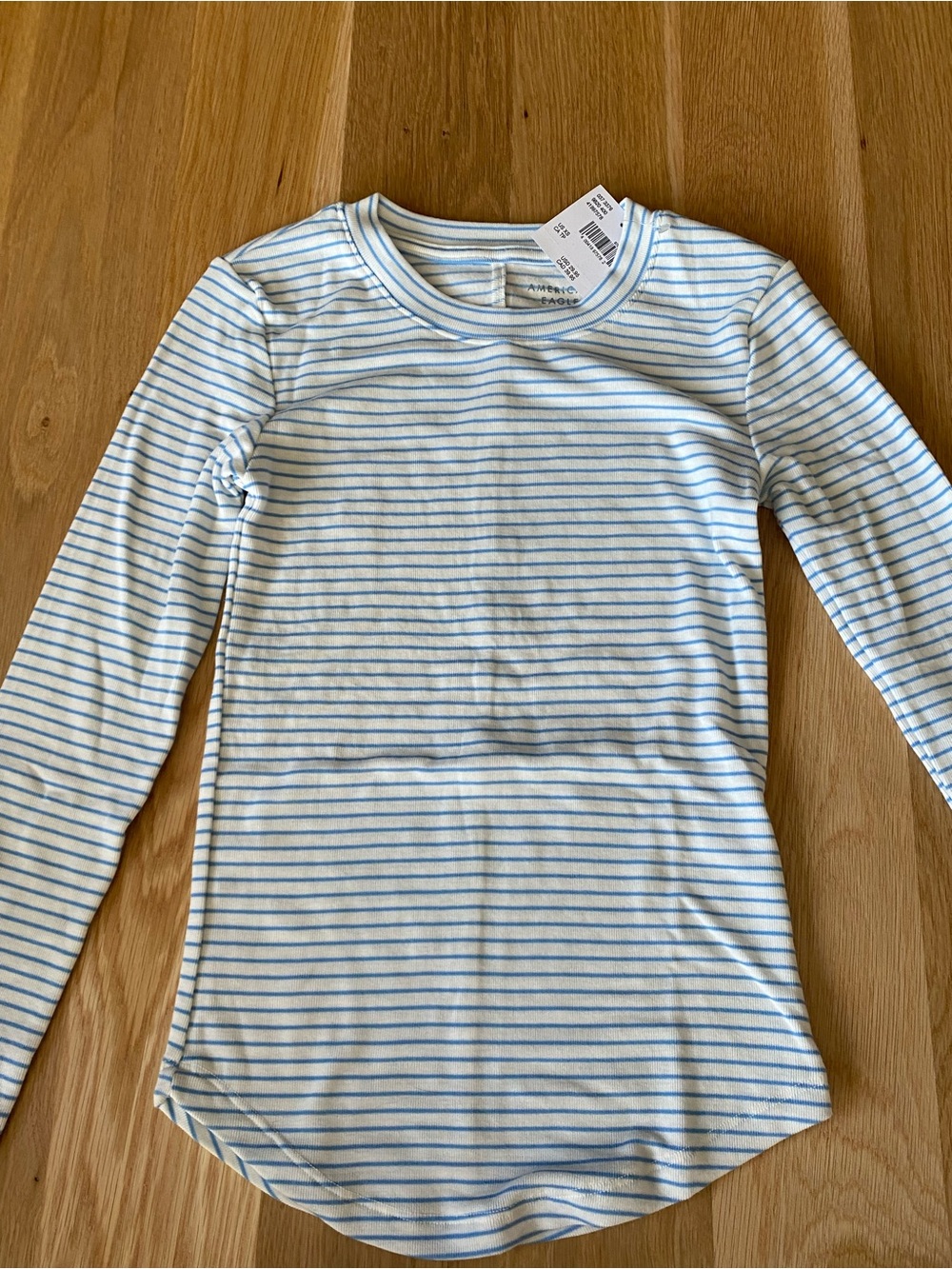 American Eagle Outfitters Light Blue and White Striped Long Sleeve Top